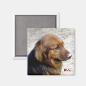 Waldo Magnet (Voorkant / Achterkant)