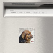 Waldo Magnet (Insitu (Vaatwasser))