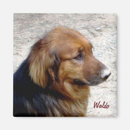 Waldo Magnet (Voorkant)