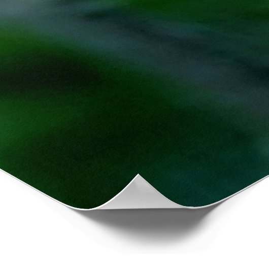 Waldohreule (Asio otus) sitzt auf Ast, Poster (Hoek)