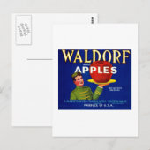 Waldorf appels briefkaart (Voorkant / Achterkant)