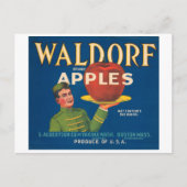 Waldorf Brand Apples  Crate Label Briefkaart (Voorkant)