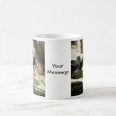 Waldrapp ibis Black Feathered Bird Mok (Center)