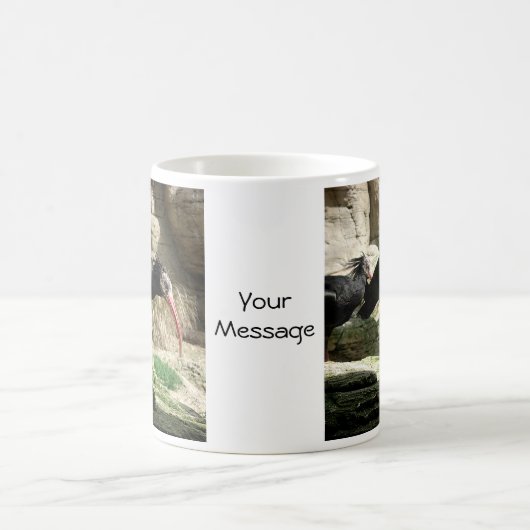 Waldrapp ibis Black Feathered Bird Mok (Center)