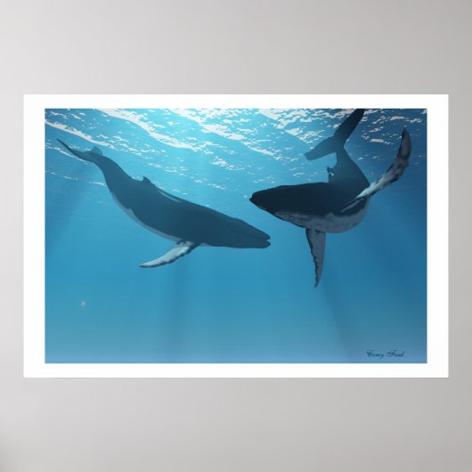 WALE WONDERS PRINT (Voorkant)