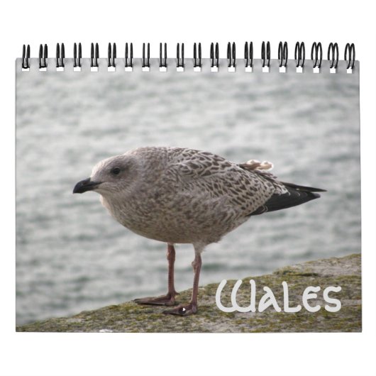 Wales 2022 Calendar Kalender (Hoes)