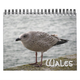 Wales 2022 Calendar Kalender
