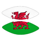 Wales American Football (Panelen)