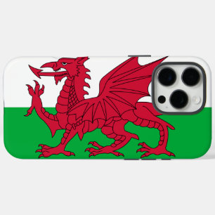 Wales iPhone 16 Pro Max Hoesje