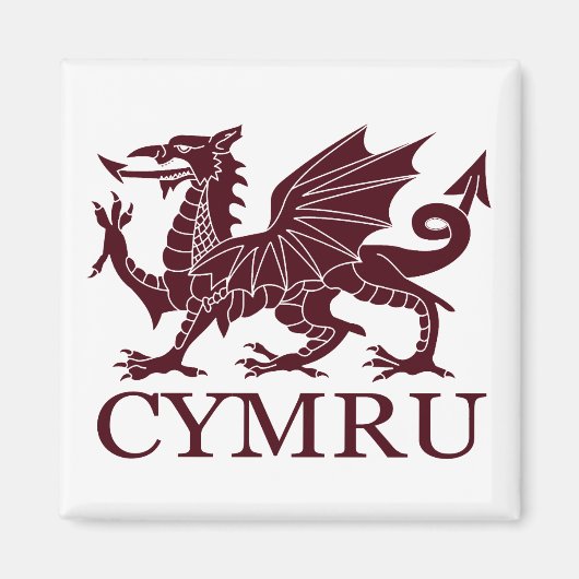 Wales CYMRU Magneet (Voorkant)