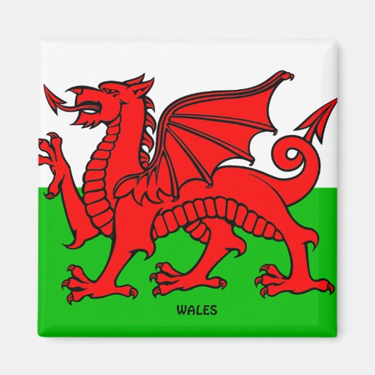 WALES FLAG /DRAGON MAGNEET (Voorkant)