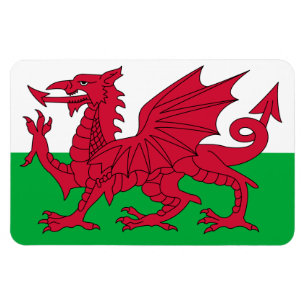 Wales Flag Magneet