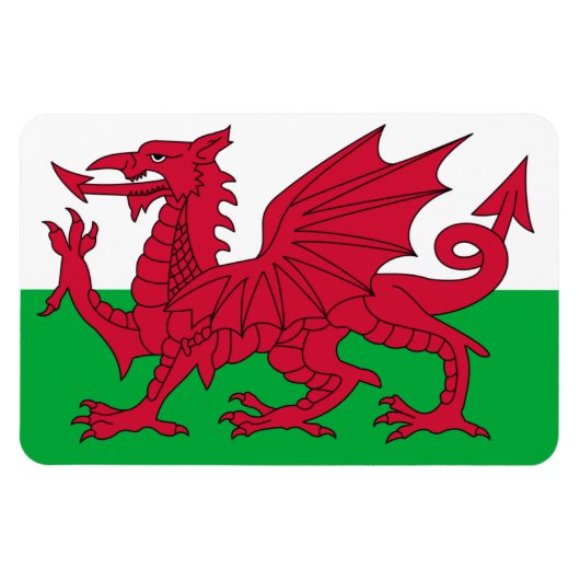 Wales Flag Magneet (Horizontaal)