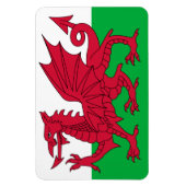 Wales Flag Magneet (Verticaal)