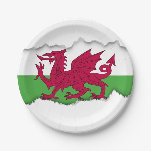 Wales Flag Papieren Bordje (Voorkant)