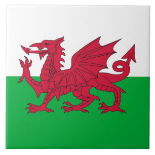 Wales Flag Tegel Tegeltje