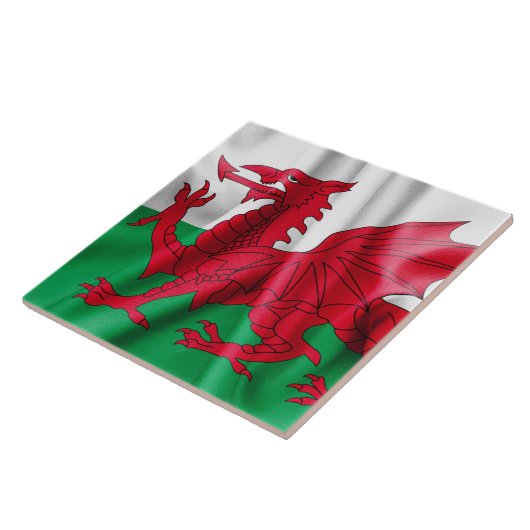 Wales Flag Tegeltje (Zijkant)