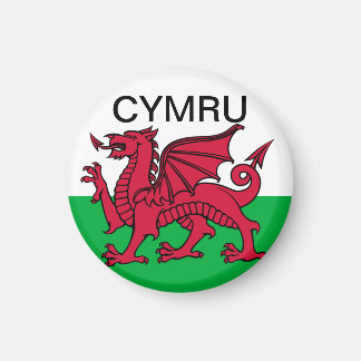 Wales Flag World Cup 2022 Rode draak Cymru Magneet