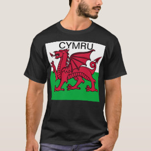 Wales Flag World Cup 2022 Rode draak Cymru T-shirt