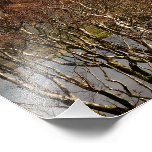 WALES FOTO AFDRUK (Hoek)