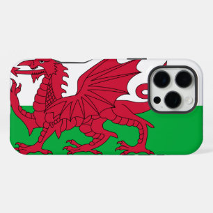 Wales iPhone 16 Pro Max Hoesje