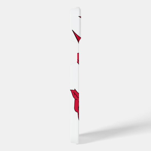 Wales iPhone Hoesje (Rechterkant)