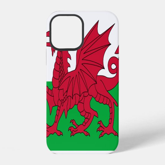 Wales iPhone Hoesje (Achterkant)