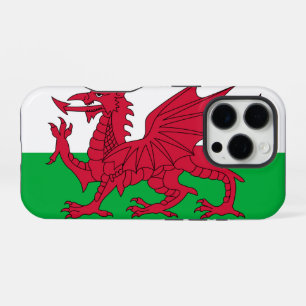 Wales iPhone 16 Pro Hoesje