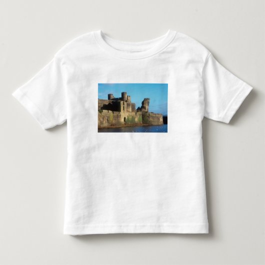 Wales - Kasteel Caerphilly, met uitzicht op de Kinder Shirts (Voorkant)