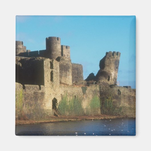 Wales - Kasteel Caerphilly, met uitzicht op de Magneet (Voorkant)