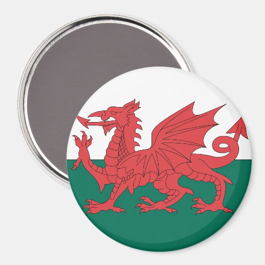 Wales Magneet (Voorkant / Achterkant)