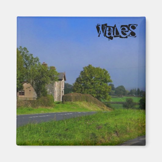 Wales Magnet (Voorkant)