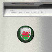 Wales Metallic Emblem Magneet (Insitu (Vaatwasser))