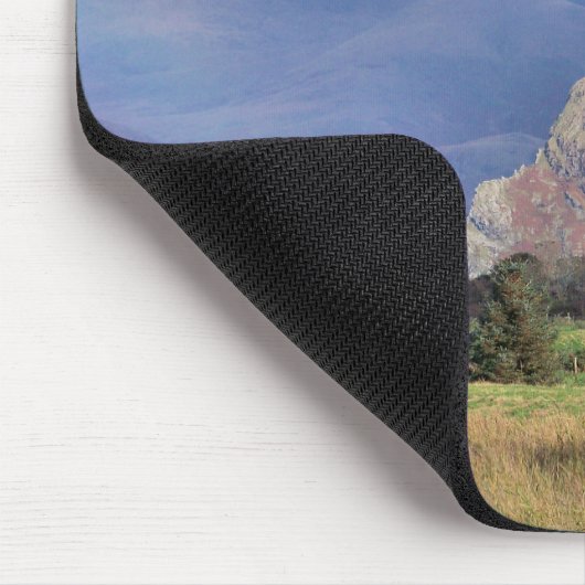 WALES MUISMAT (Hoek)