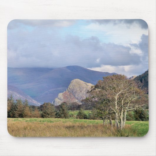 WALES MUISMAT (Voorkant)