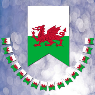 Wales Party Banners, Welsh Flag/Cymru Weddings Vlaggetjes
