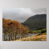 WALES POSTER (Voorkant)