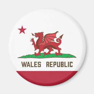 Wales Republic Dragon Flag Welsh Pride Magneet