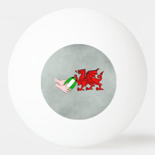 Wales Rugby Team Dragon met Rugby Ball