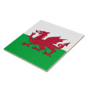 WALES TEGELTJE (Zijkant)