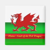 Wales - Thuis van de rode draak, metallisch effect Magneet (Voorkant)