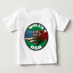 Wales USA Friendship