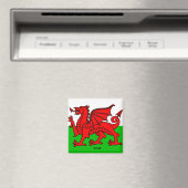 WALES VLAG /DRACON MAGNEET (Insitu (Vaatwasser))