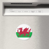 wales vlag magneet (Insitu (Vaatwasser))