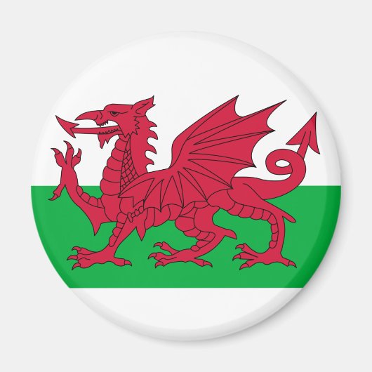wales vlag magneet (Voorkant)