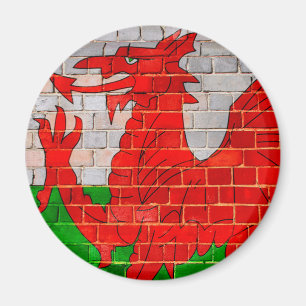 Wales vlag op een muur magneet