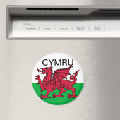 Wales Vlag Rode draak Cymru Reizen Magneet (Insitu (Vaatwasser))
