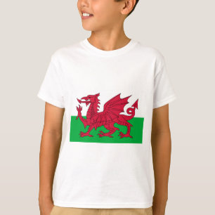 wales vlag t-shirt