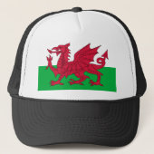 wales vlag trucker pet (Voorkant)