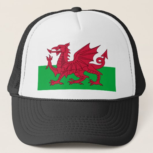 wales vlag trucker pet (Voorkant)